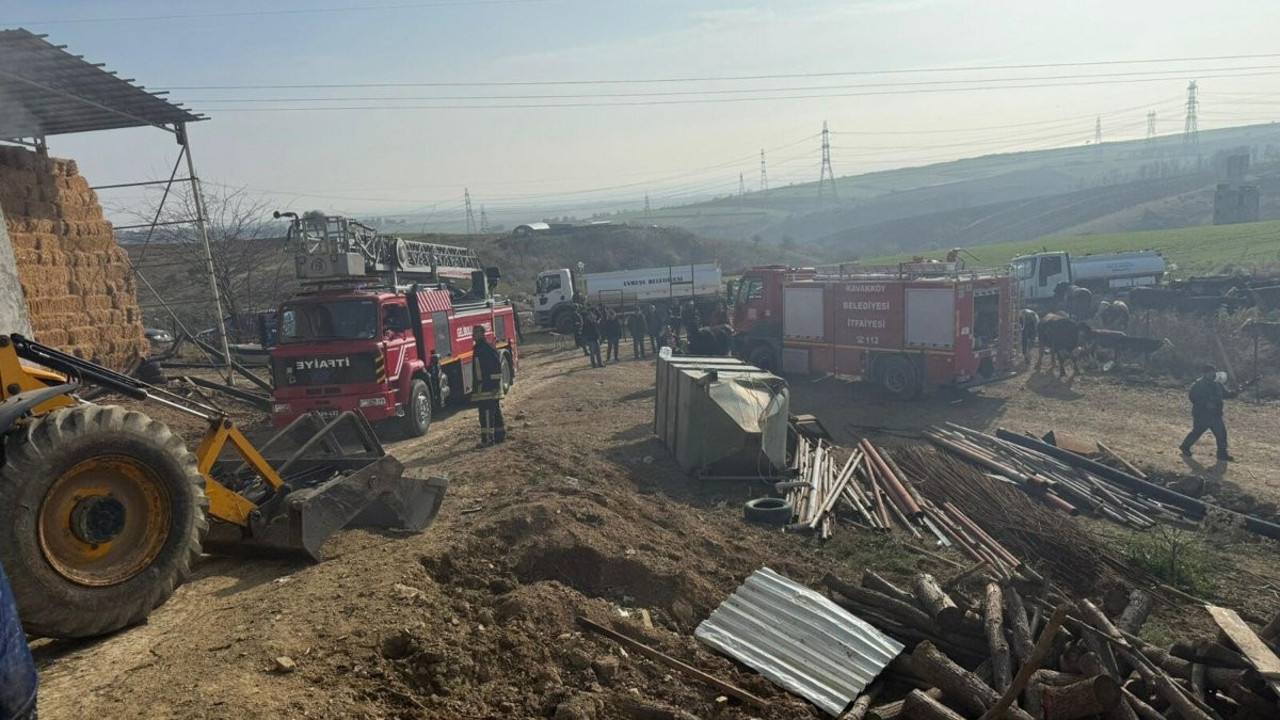 Çanakkale'de ahır yandı; 6 büyükbaş telef oldu