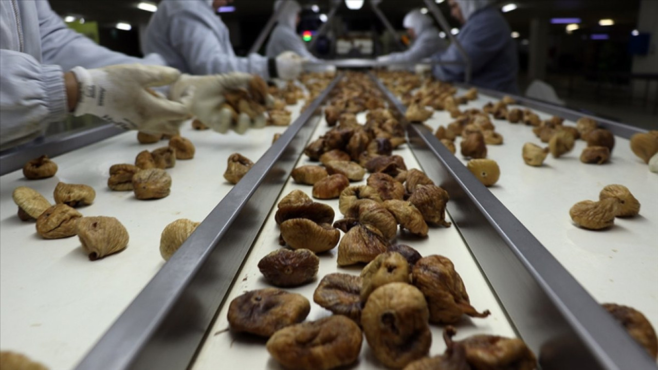 Bakanlık açıkladı: İhracatta geri dönen ürünler imha ediliyor