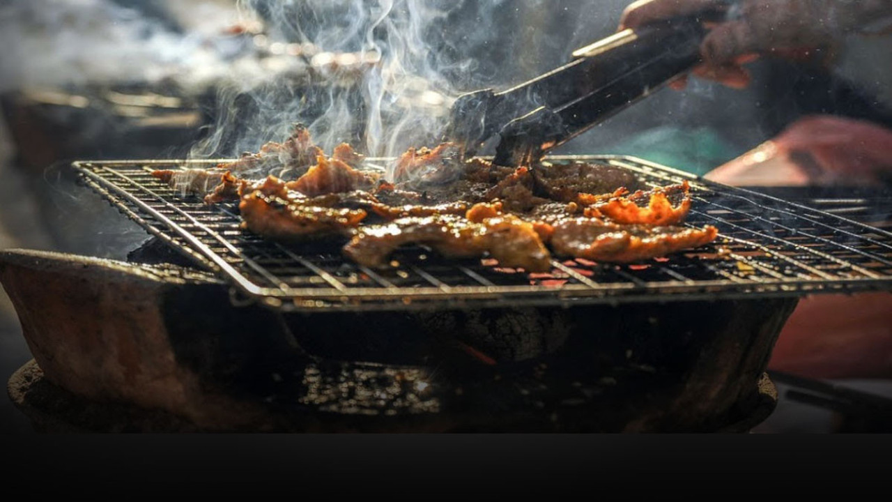 TBMM'ye ilginç başvuru! Mangal ve piknik severleri üzecek haber