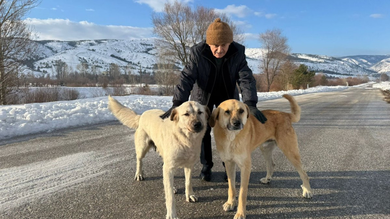 Binali Yıldırım baba ocağında hasret giderdi! Köyünden yaptığı paylaşıma hayvanseverlerden beğeni yağdı