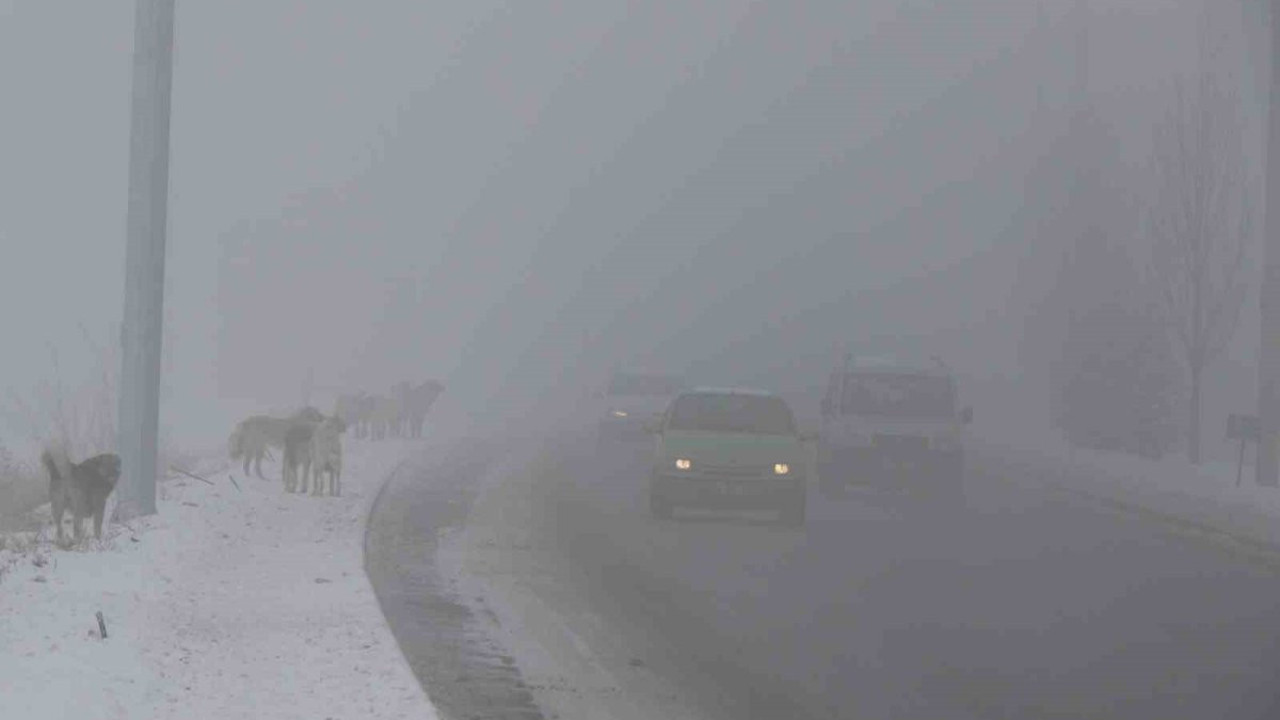 Erzincan sise gömüldü