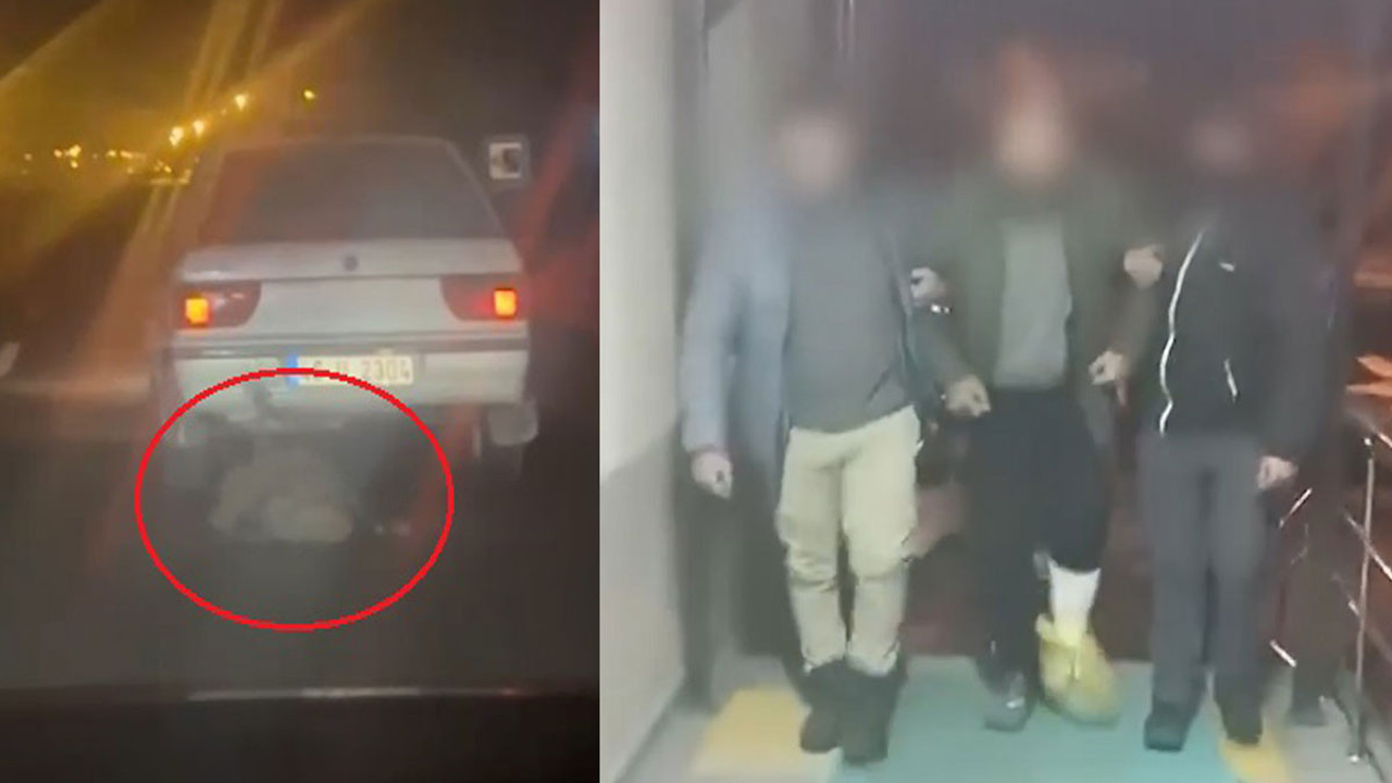 Arıcına bağladığı domuzu sürükleyen adam yakalandı