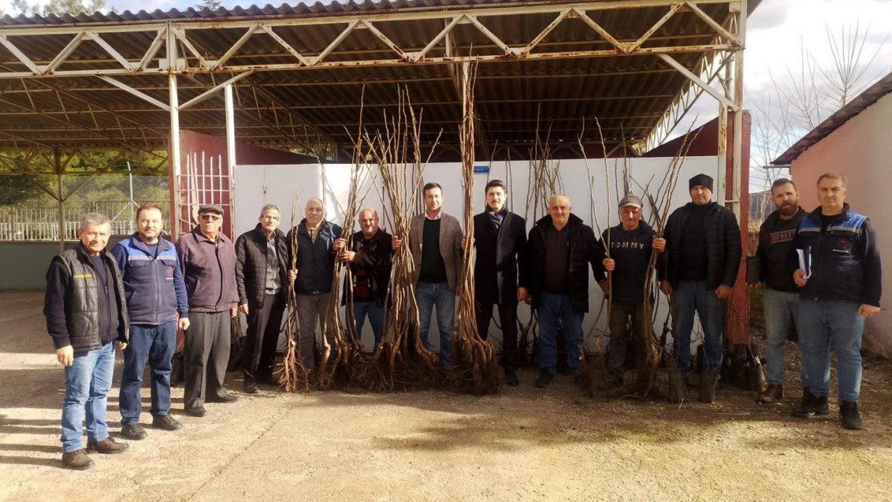 Kaymakam'dan çiftçilere fidan desteği