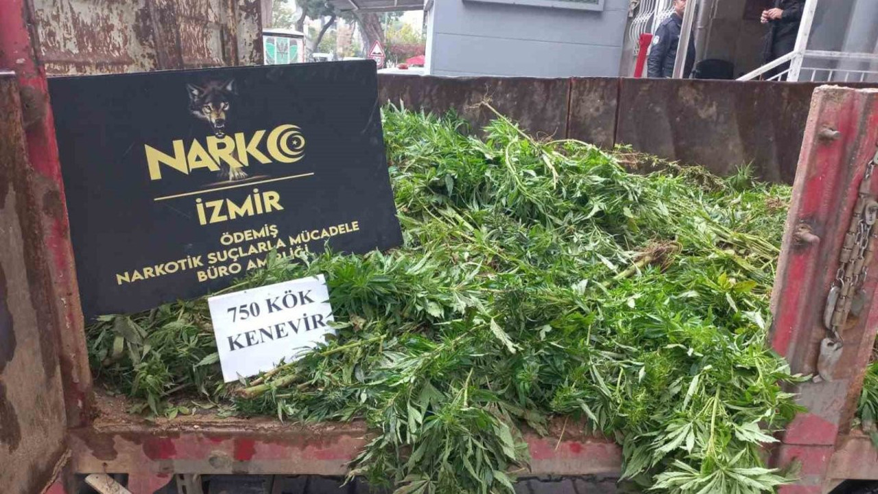 Hayvan damında uyuşturucu operasyonu