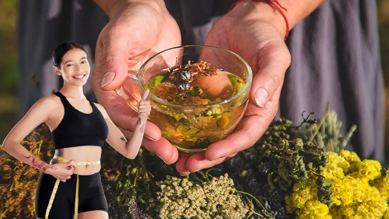 Göbek yağını eriten mucize çayı uzmanlar anlatıyor...