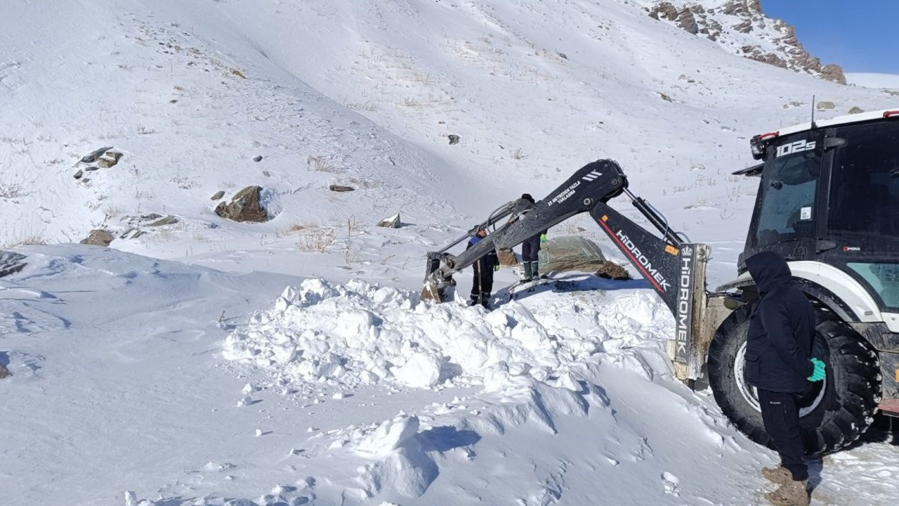 Hakkari 3 bin 500 rakımda zorlu mücadele