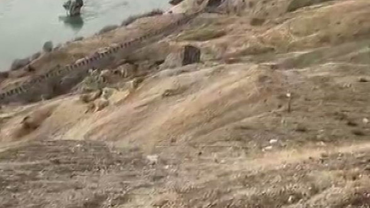 Elazığ'da koruma altındaki dağ keçileri görüldü