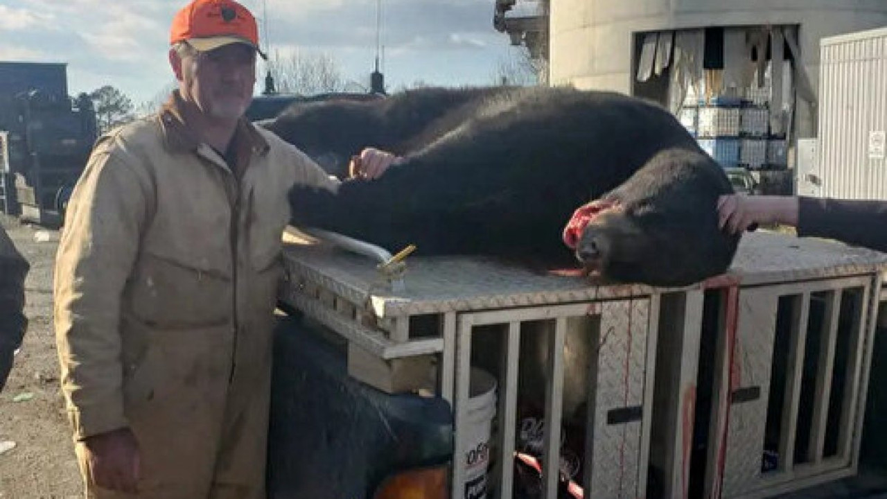 ABD'de avcı ağaçtaki vurulan ayının üzerine düşmesi sonucu öldü