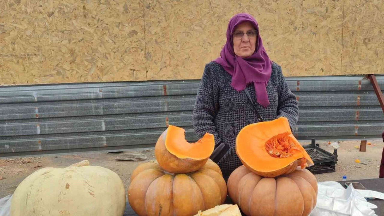 Bahçesinde ürettiği balkabağı geçim kaynağı oldu