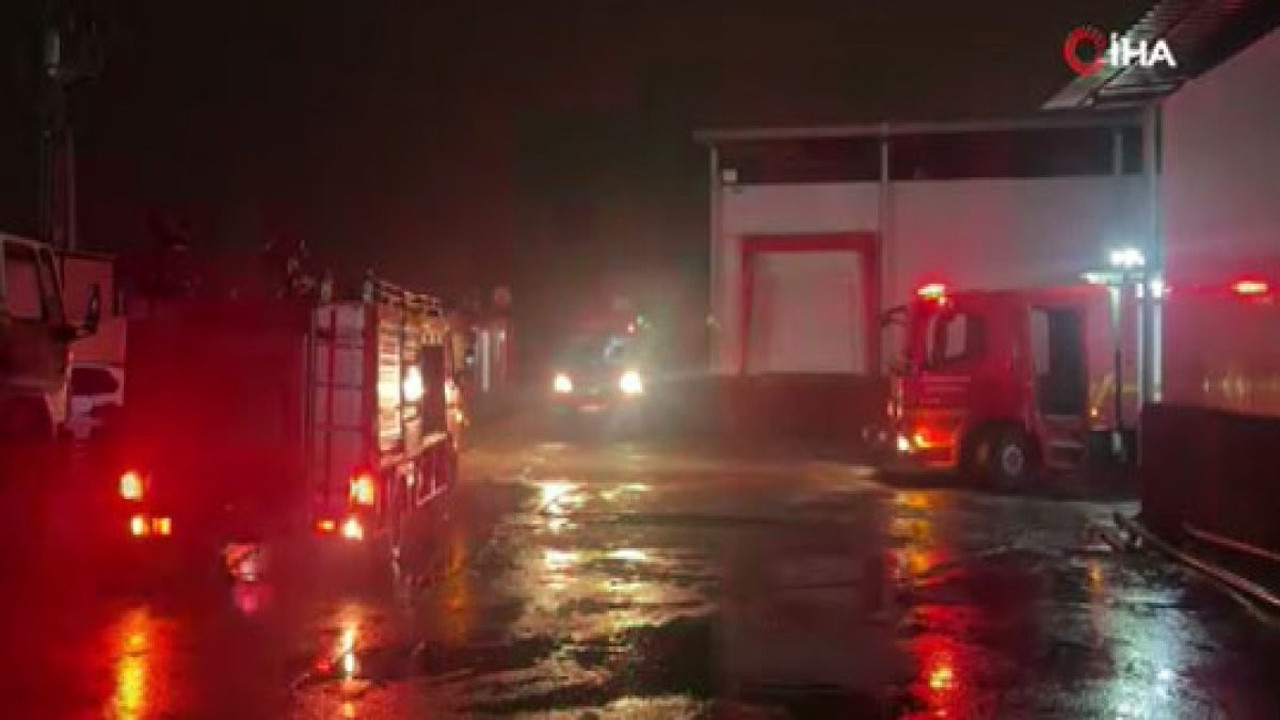 Adana'da tavuk çiftliğinde yangın