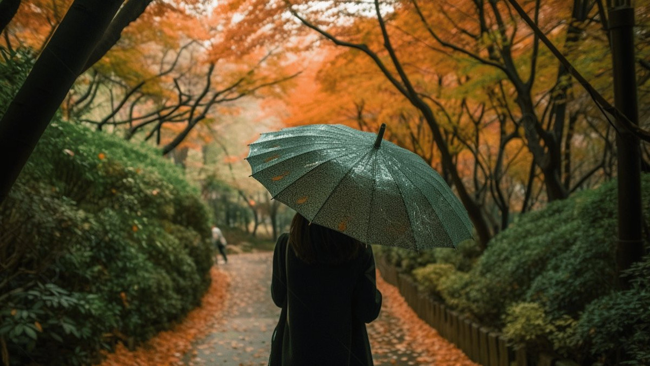 Şemsiyenin gücü... Yalnızca yağmurdan korunmak değil...