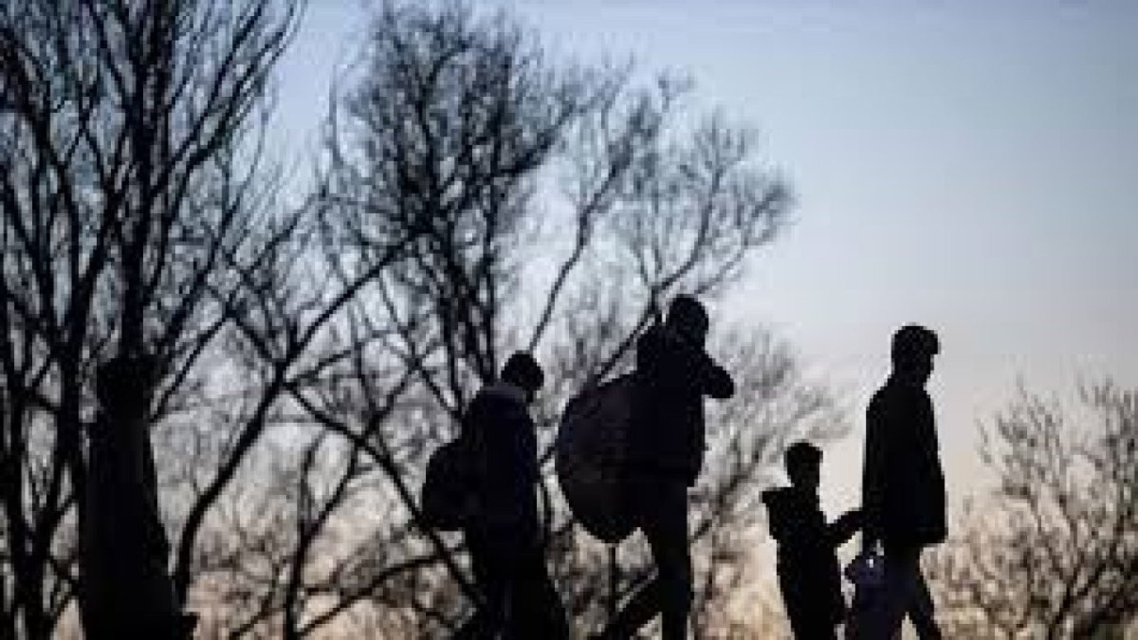 Kırklareli’nde kaçak göçmenler yakalandı