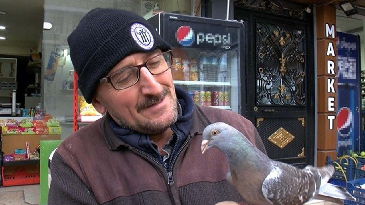 Manisa'da 'Osman' ismini verdiği güvercini omzunda taşıyor