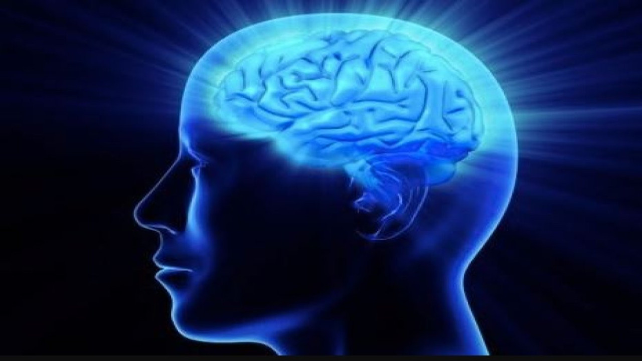 Dünyanın en yüksek IQ'suna sahip Kim, dedikodunun ruh sağlığına iyi geldiğini savundu