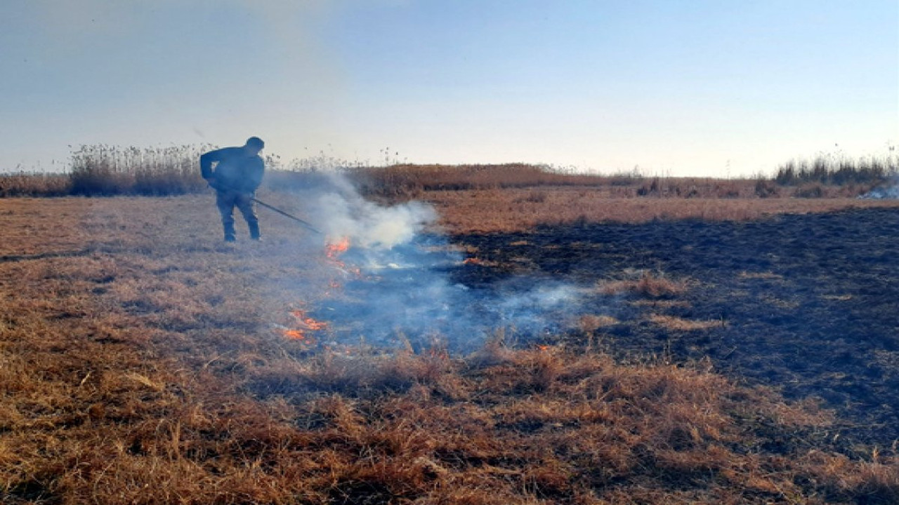 Van'da sazlıkta çıkan yangın kontrol altında