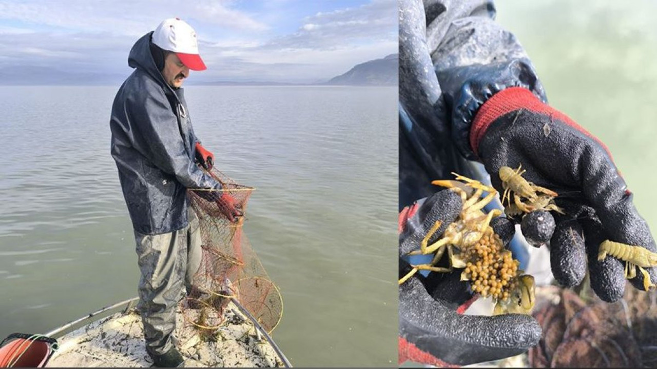 Eğirdir Gölü'nde 200 kaçak kerevit pinteri ele geçirildi