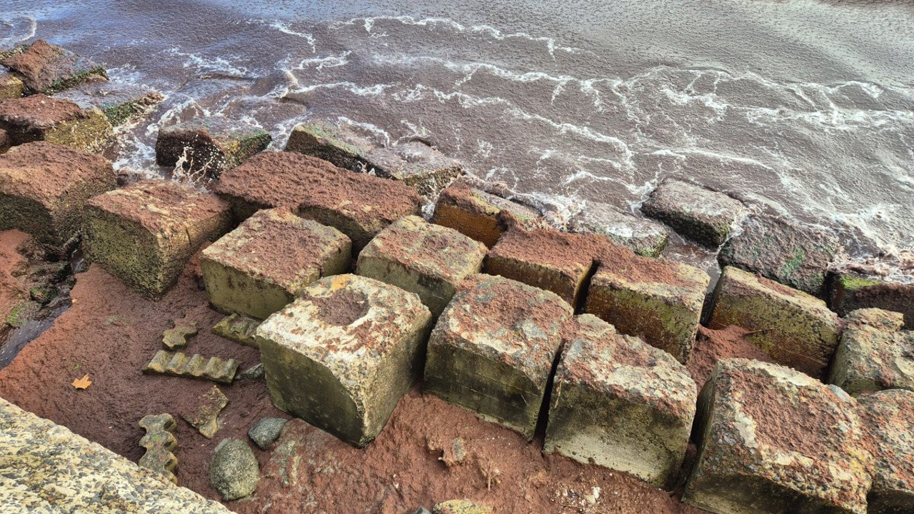 Tekirdağ kıyılarında kızıl yosun istilası