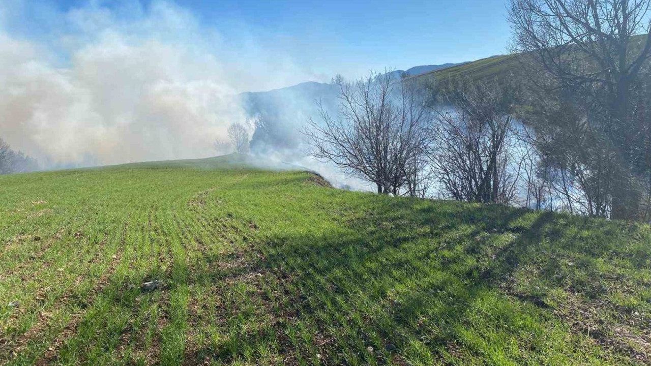 Adana’da korkutan orman yangını