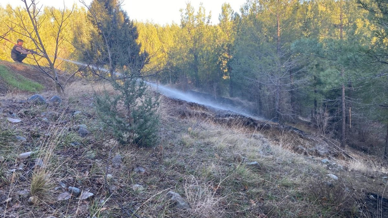 Adana’da orman yangını söndürüldü