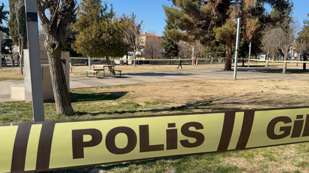 Parkta kadın dehşeti!