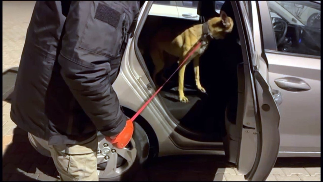 Polis zehir tacirlerini kıskıvrak yakaladı