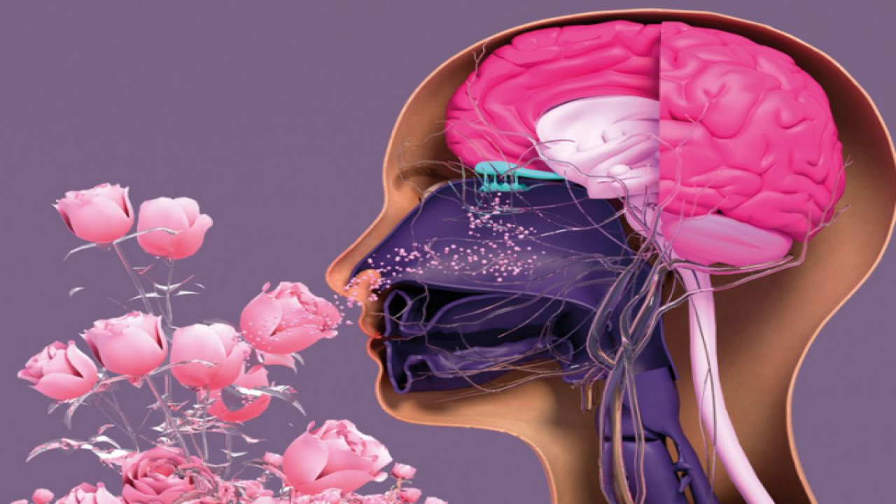 Yapay zeka koku duyusuyla hastalıkları kokluyor: Tıpta yeni bir dönem başlıyor!