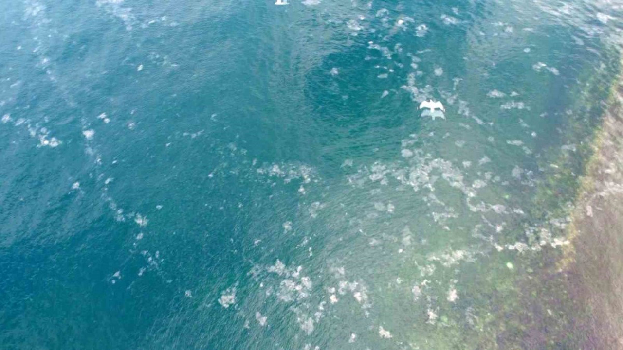 Adalar’daki müsilaj tehdidi böyle görüntülendi