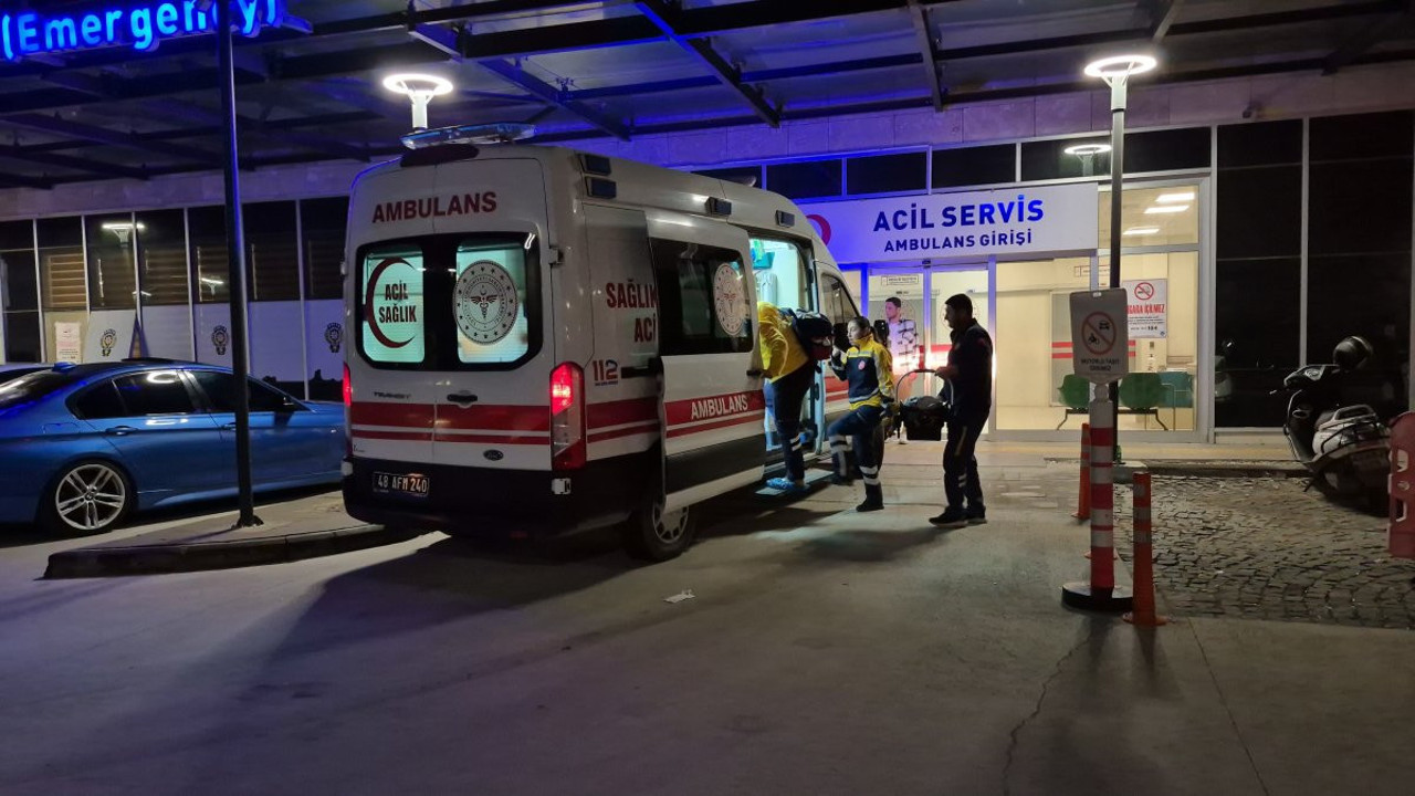 Bodrum'da vicdanları sızlatan olay