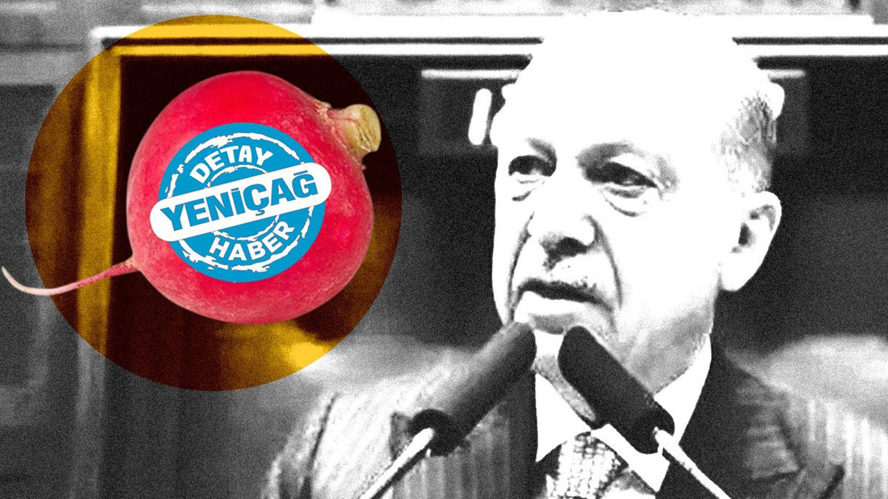 'Heybedeki turp'tan derin devlet çıktı. Erdoğan bu deyimin anlamını biliyor muydu?