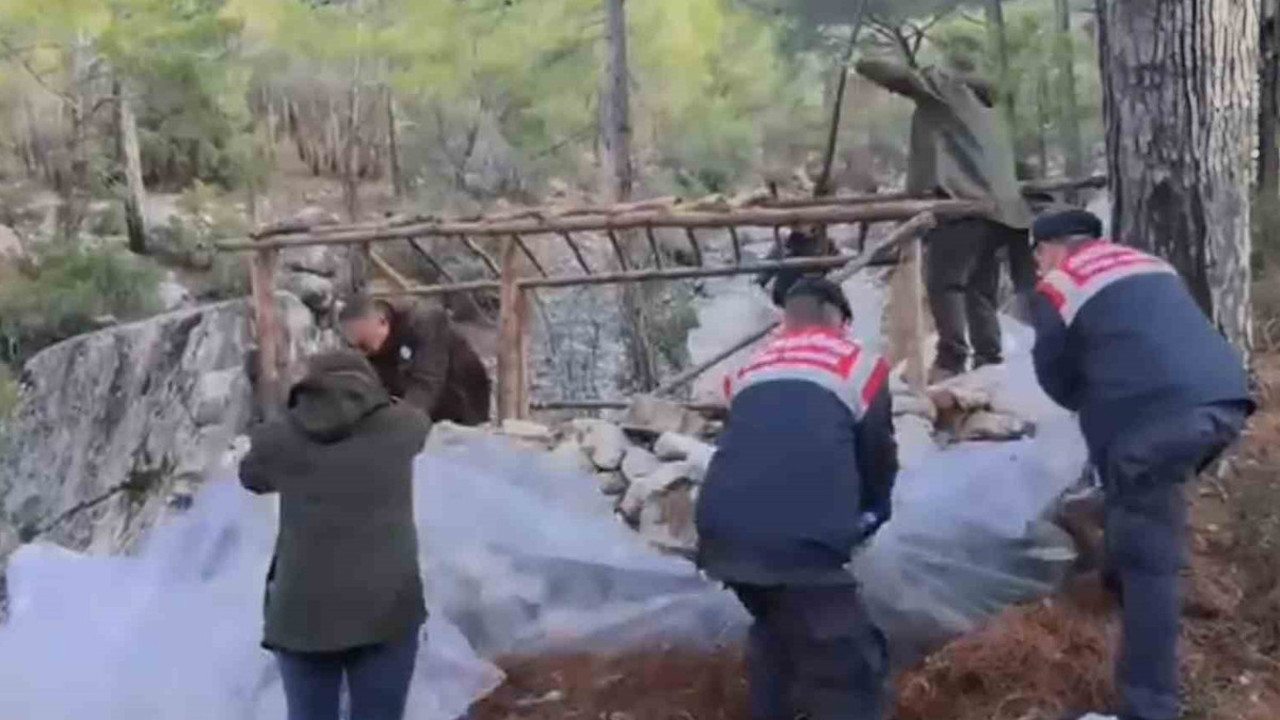 Jandarma timleri tek tek imha etti