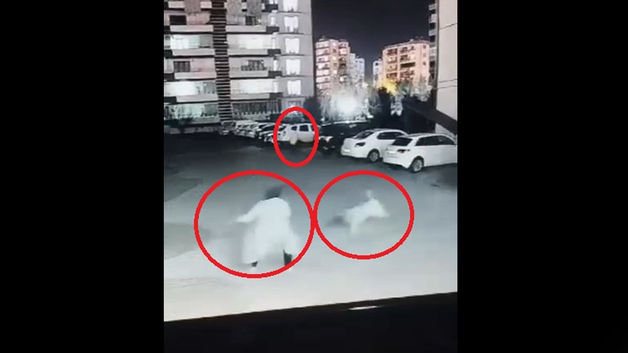 Kadının çığlık seslerine komşular yetişti! Sokak köpeği anne ile kızına saldırdı