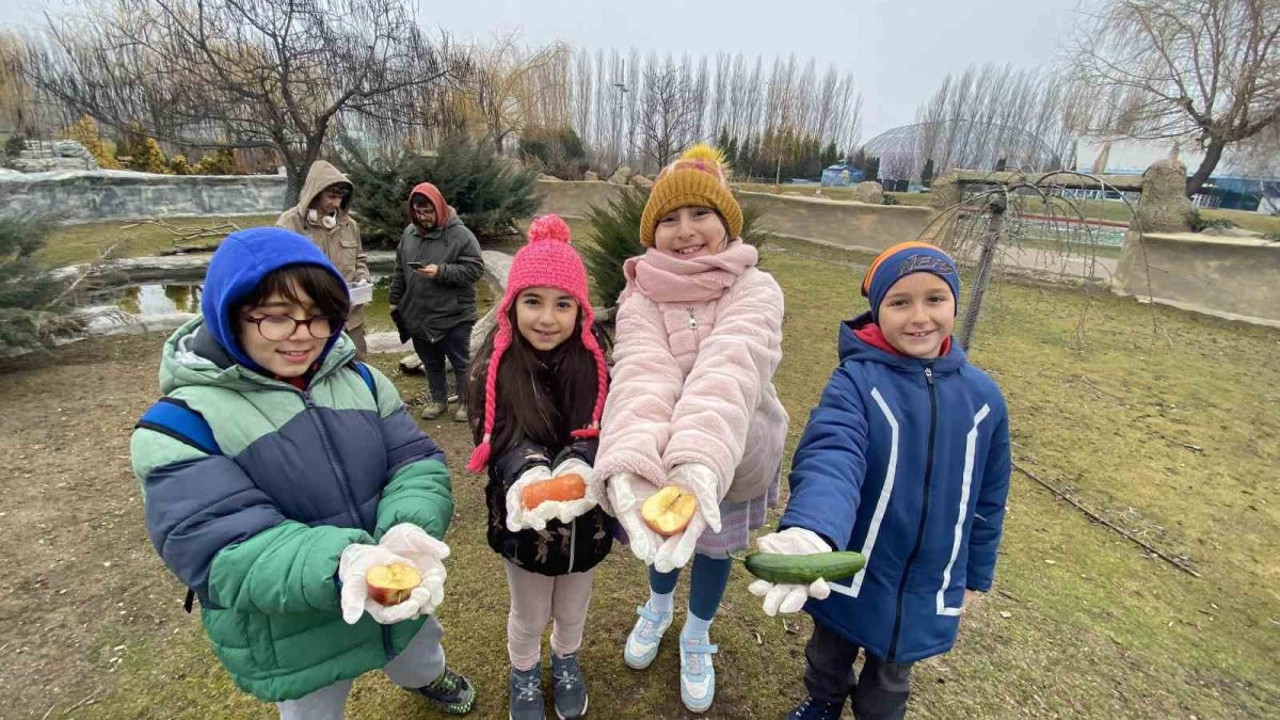 Hayvanat Bahçesi bu hafta minik misafirlerini ağırladı