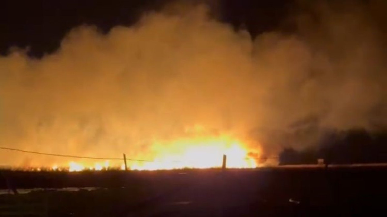 Göksu Deltası'nda yangın