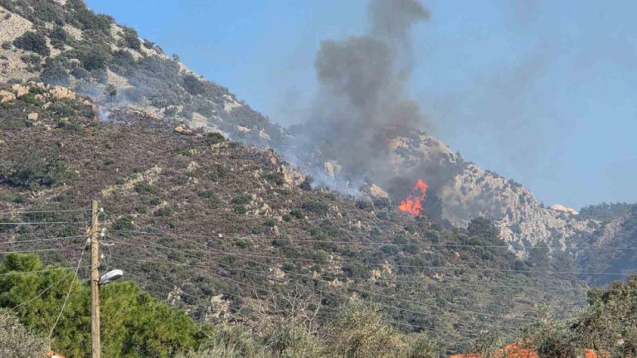 Milas’ta orman yangını! Müdahale ediliyor