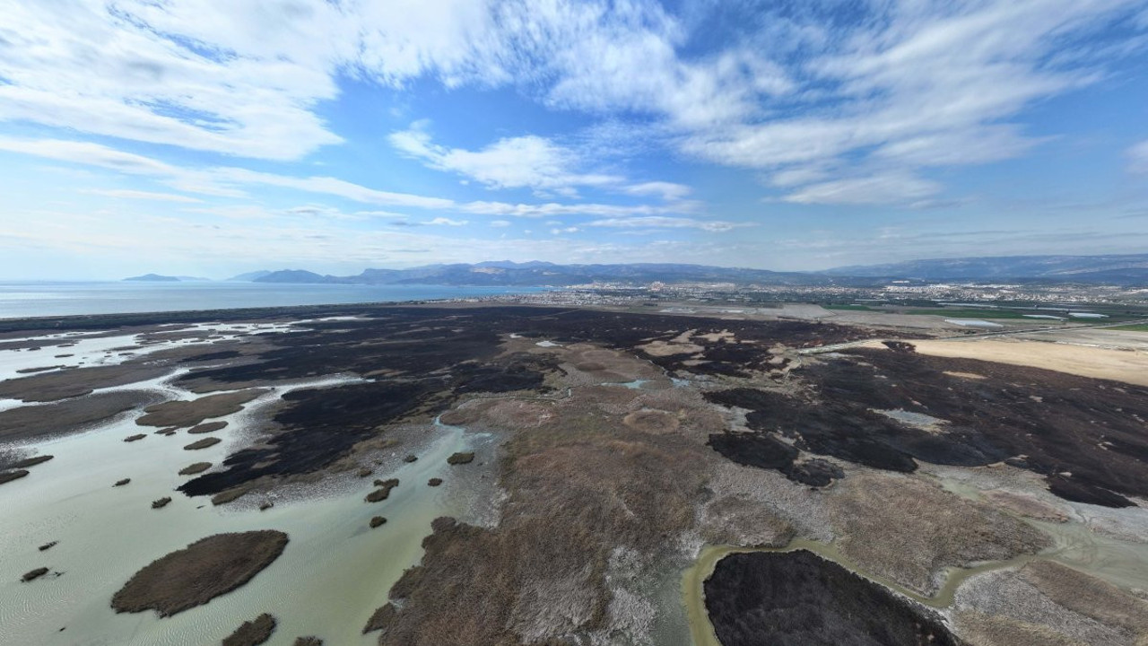 Mersin'de kuş cenneti cehenneme döndü, bin dönümlük alan yandı