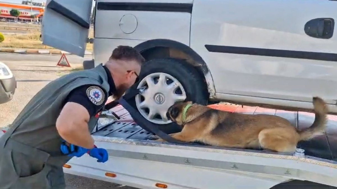 Bolu’da 9 uyuşturucu operasyonu