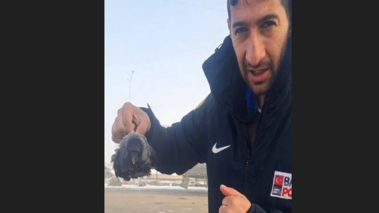 Karga soğuktan dondu