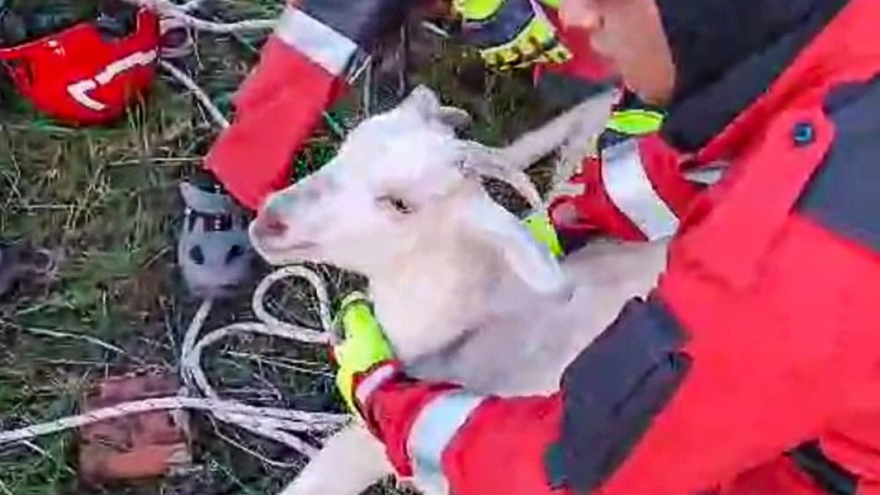 Kuyuya düşen keçiyi itfaiye kurtardı