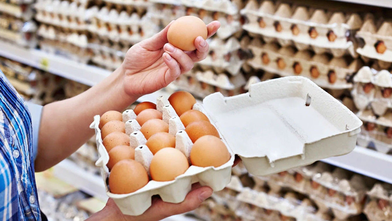 ABD'deki tavuğun gribi, Türkiye'de garibanı vurdu