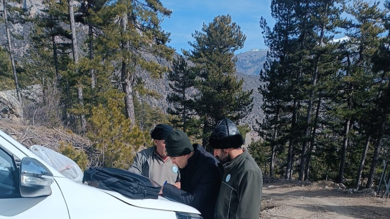 Kaçak keklik avladı, tazminat cezası yedi!