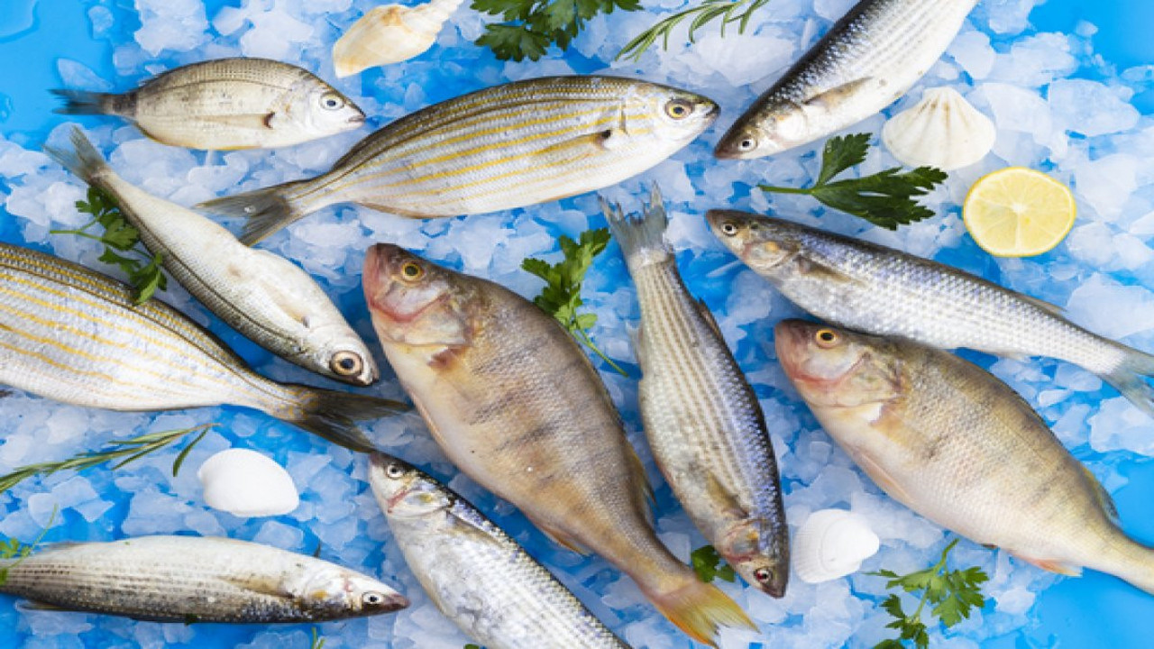 Balık yemeyenler için 3 mucize besin! Bu yiyecekler Omega-3 ve B12 zengini