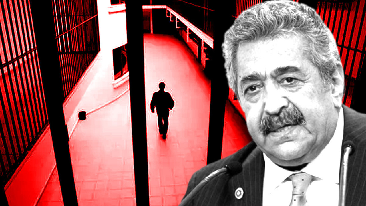 Bir dönem Saray'da görev yapan gazeteci açıkladı: MHP'li Feti Yıldız'ın niyeti ortaya çıktı