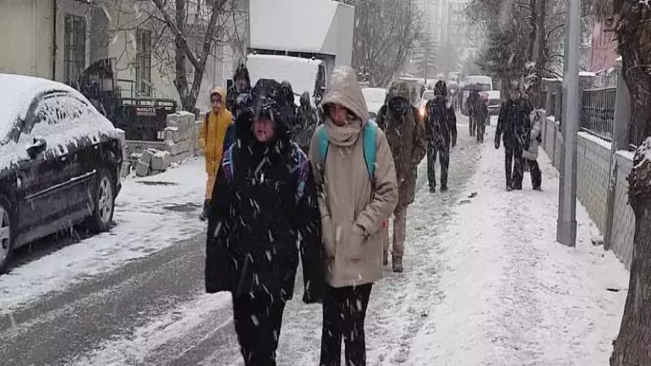 Van'ın 3 ilçesinde okullar tatil edildi