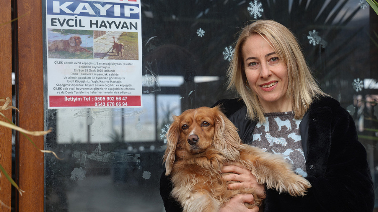 Cins köpeği bulana 40 bin lira ödül verecek: Sokak sokak arıyor