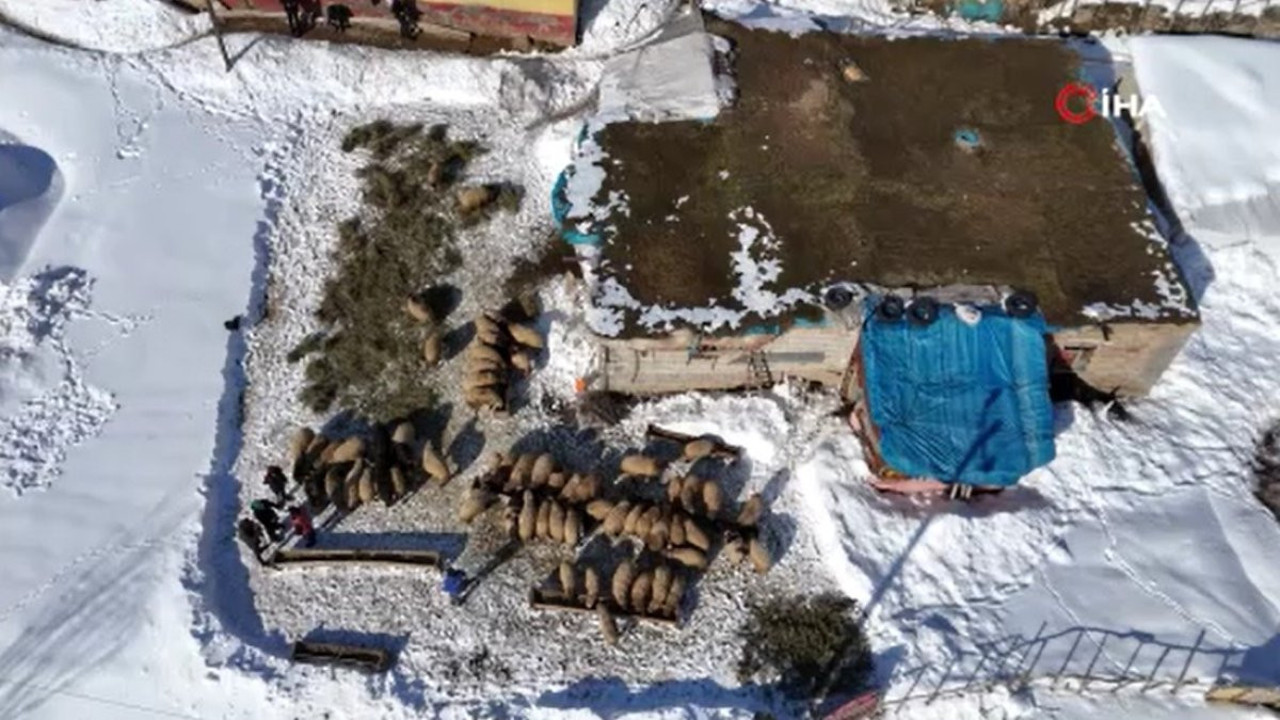 Besicilerin zorlu kış mesaisi