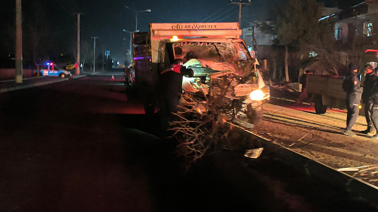 Refüje çıkan kamyonet ağaçları devirip direğe çarparak durdu