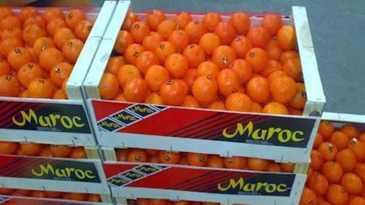Fas, Japonya'ya ilk narenciye ihracatını gerçekleştirdi