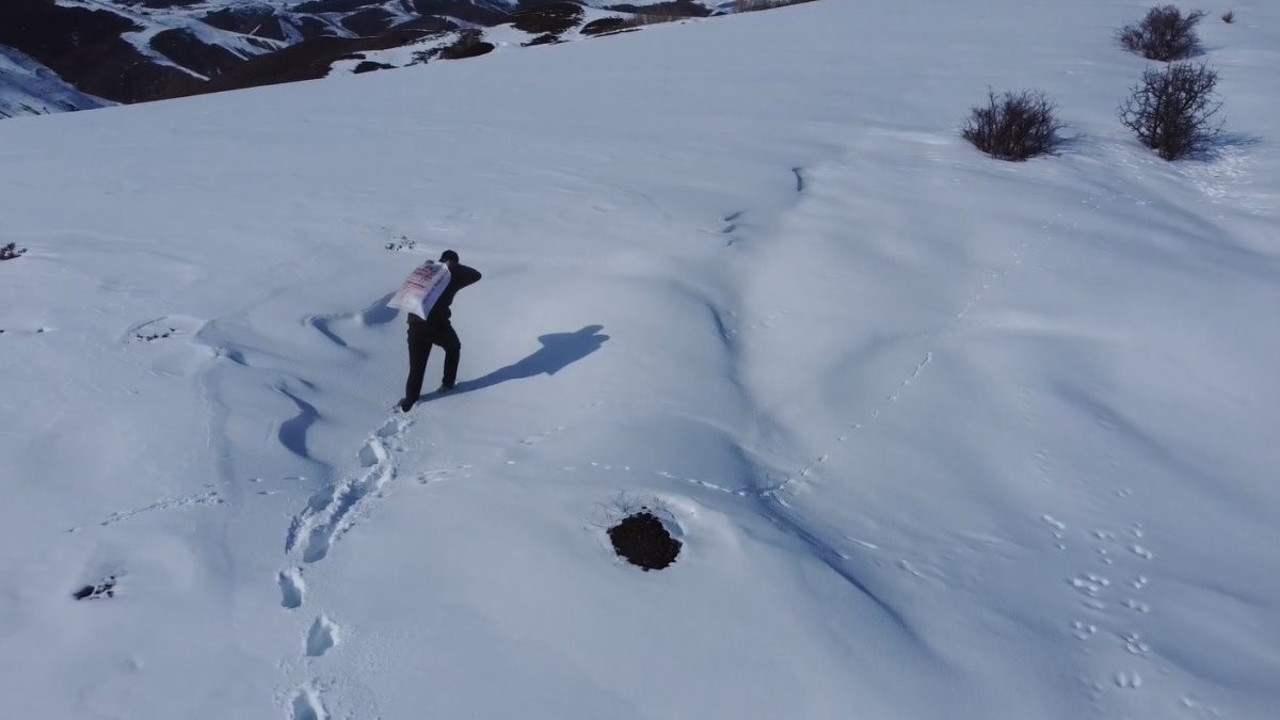 Bayburt’ta yaban hayvanları unutulmadı
