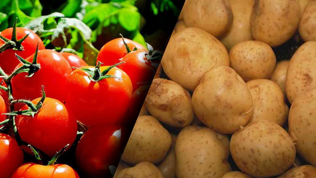 Domatesten sonra patatesimize de göz diktiler! Bakanlık virüs tespit etti