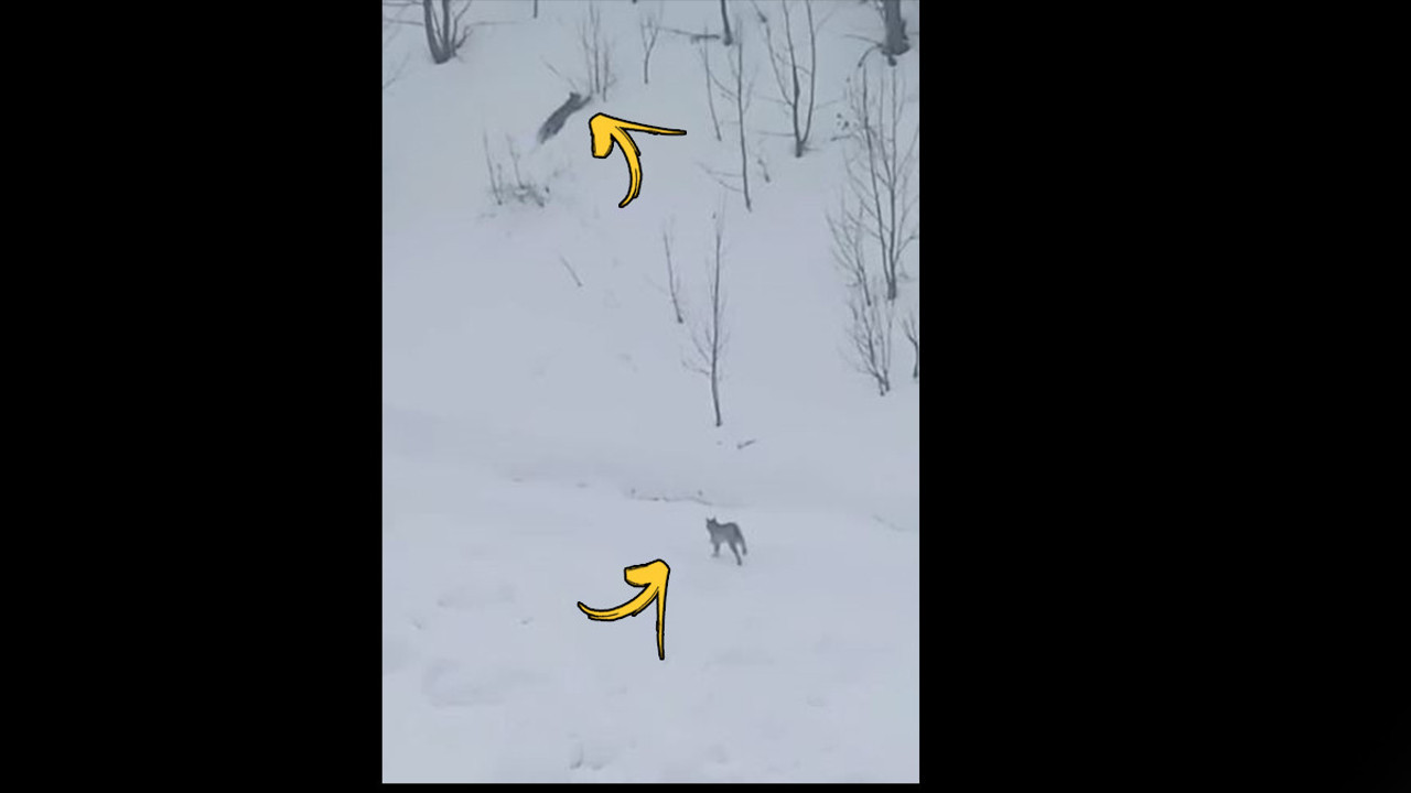 Karlı arazide görüntülendiler